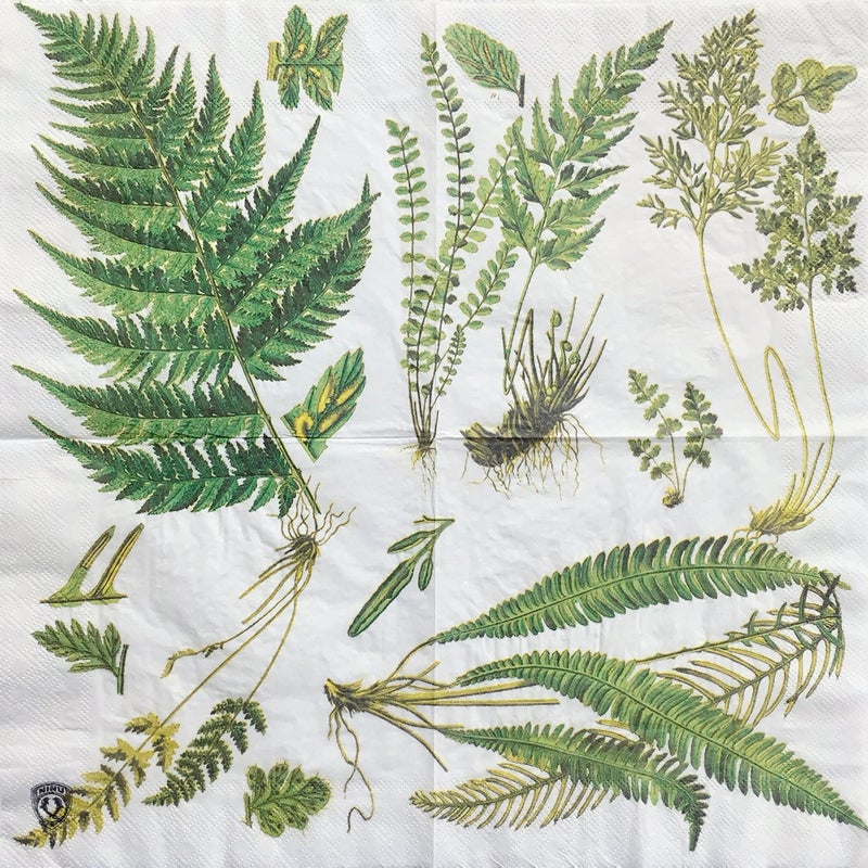 Zelten Colored Paper Napkins (Fern) - Image 1